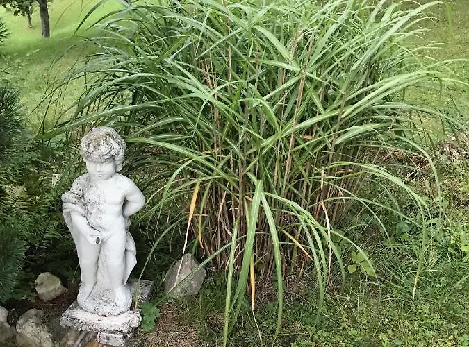 Ferienhaus Messern Vakantiehuis Messern